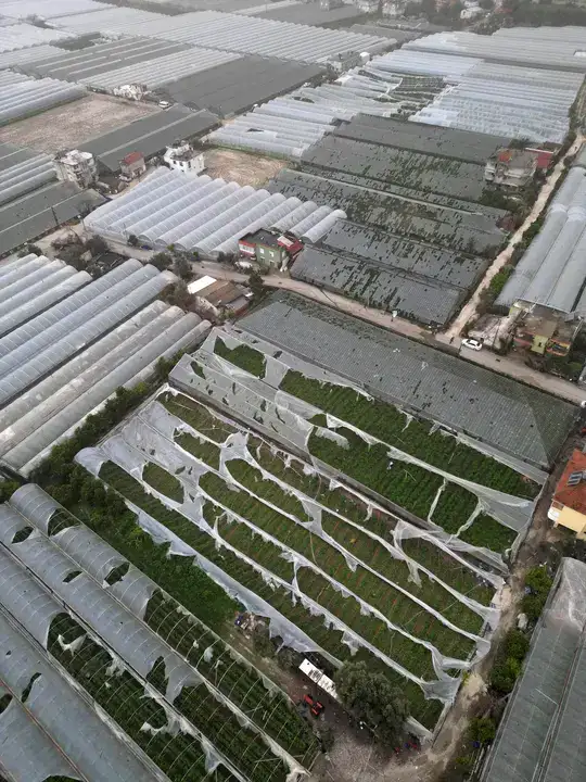 Antalya'da Tarımın Kalbine 300 Milyon TL'lik Darbe! 4